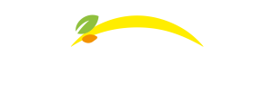Bonduelle - Tillbaka till hemsidan